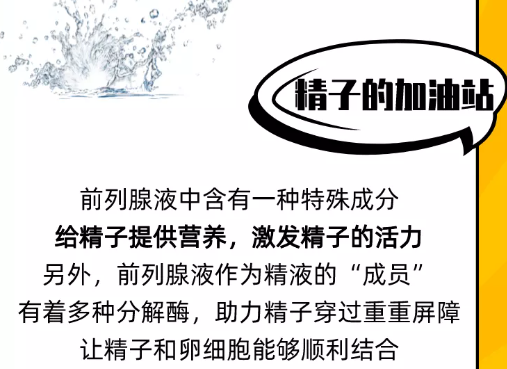 前列腺保养手册!请善待你的前列腺!(图3) 前列腺保养手册!请善待你的前列腺!(图3)